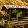 屋根付き橋の紅葉