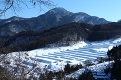 雪の棚田