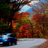 紅葉の道
