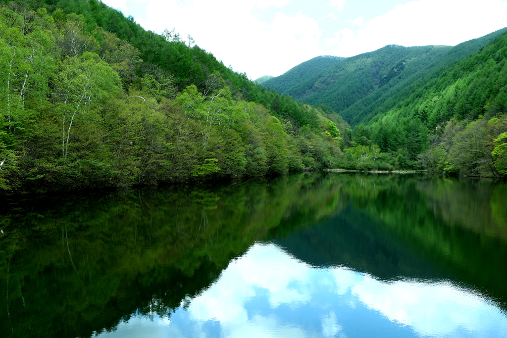 新緑のダム湖