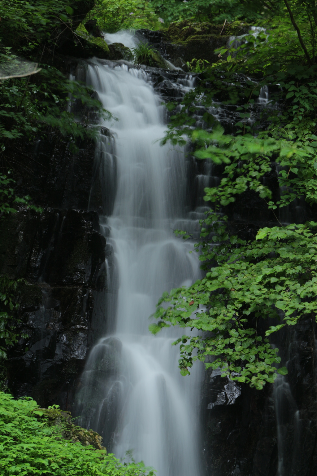 三滝