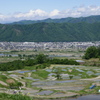 棚田