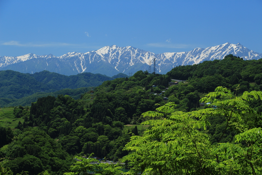 6月の北アルプス