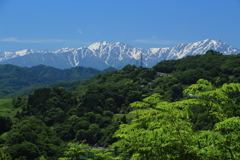 6月の北アルプス