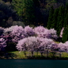 朝寝坊の中綱湖