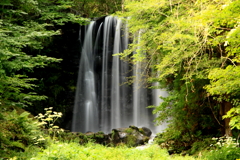 唐沢の滝