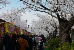 花見の賑わい＾＾