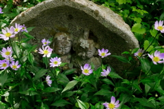 石仏とミヤコワスレの花