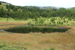 池の平湿原　鏡池