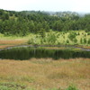 池の平湿原　鏡池