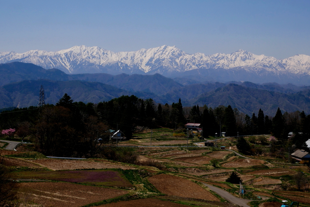田植え前