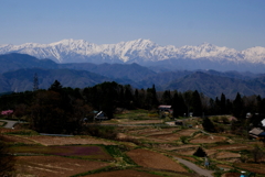 田植え前