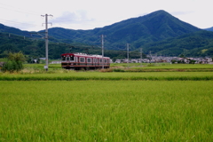 電車