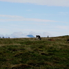 富士山？
