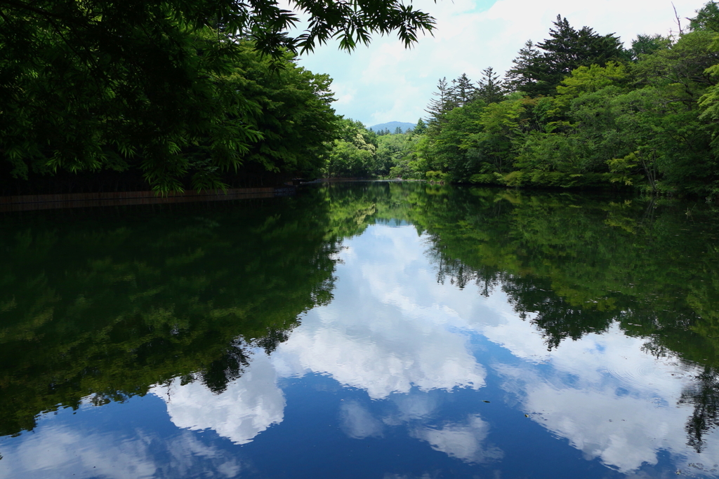 雲場池