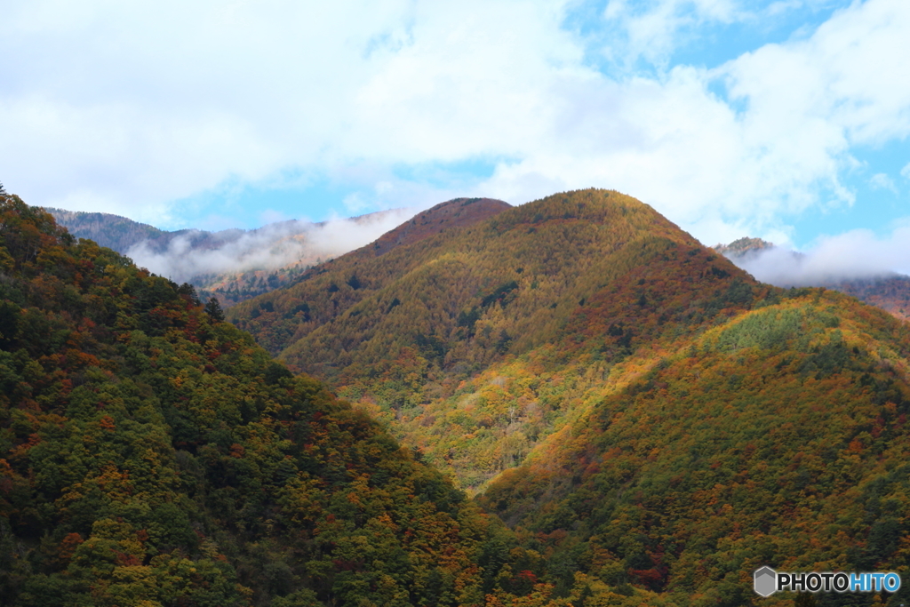 信州の山