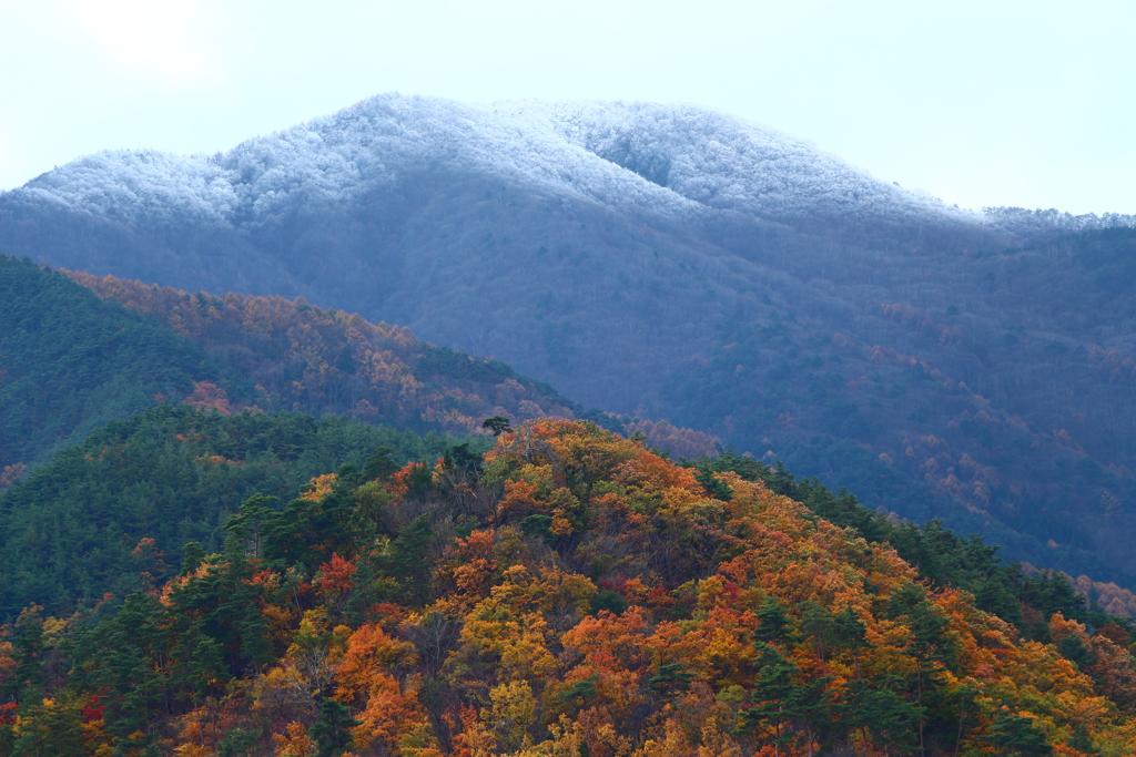 紅葉と雪