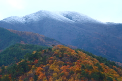 紅葉と雪