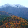 紅葉と雪