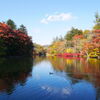 雲場池の紅葉