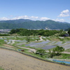 棚田
