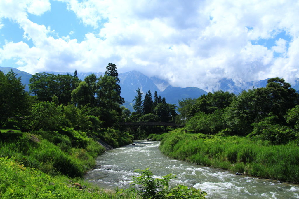 夏の大出の吊り橋