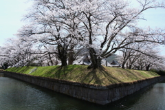 龍岡城五稜郭