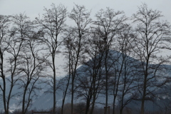 寒い日の夕暮れシルエット