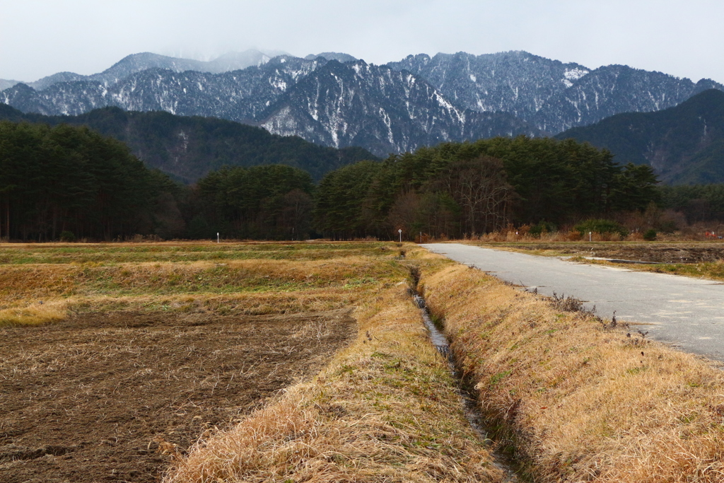 雪山へと続く道