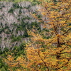 高峰高原にて
