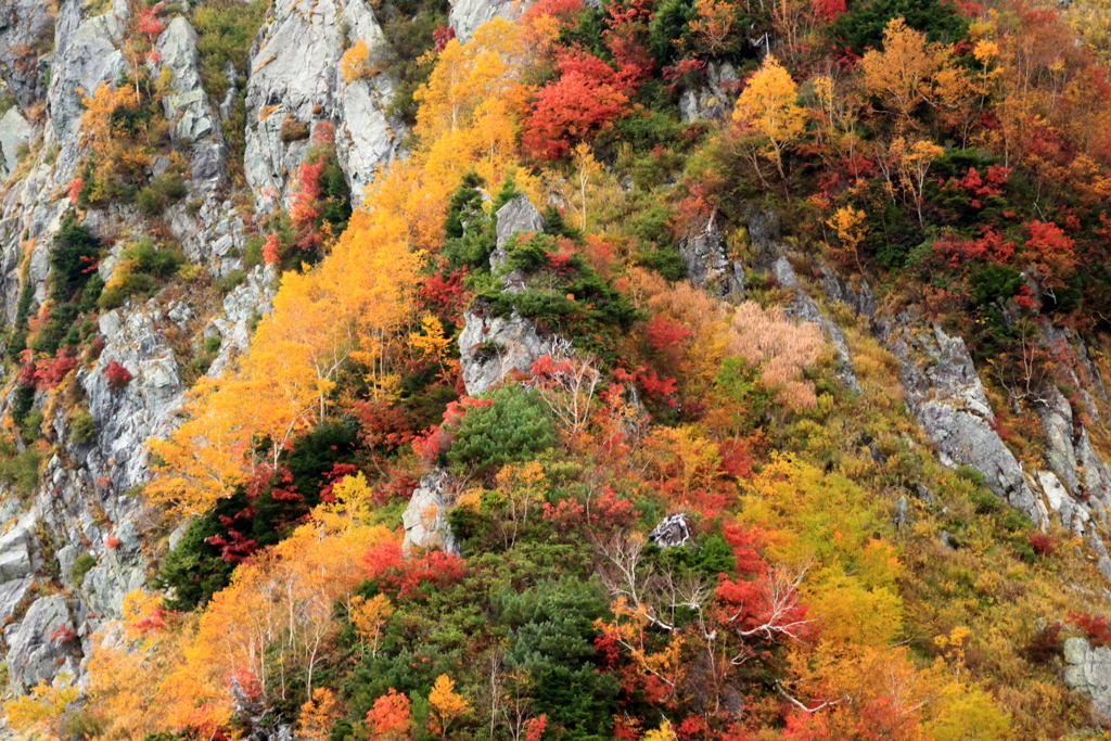 岩場の紅葉