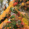 岩場の紅葉