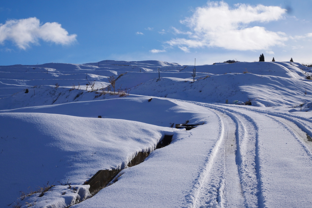 雪の棚田