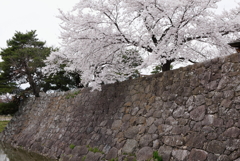 松代城址　(海津城）