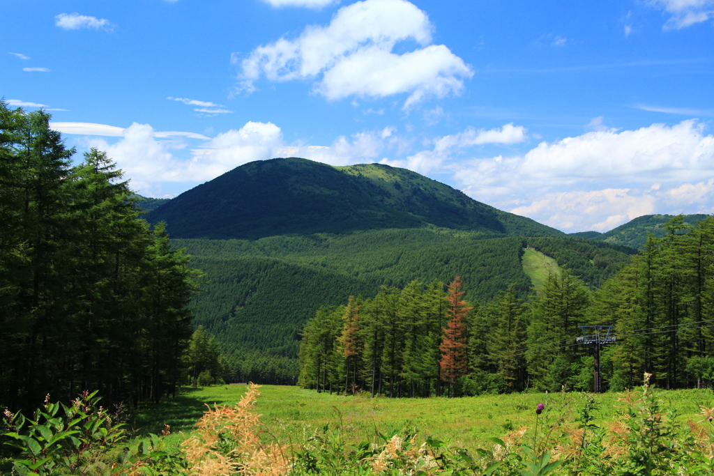 湯ノ丸山