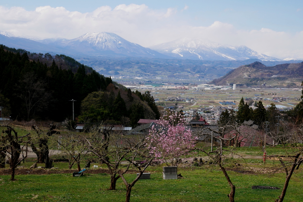 信州の春