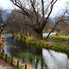 "珍百景”　二つの川　