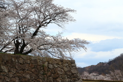 松代城跡の春