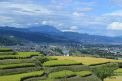 棚田