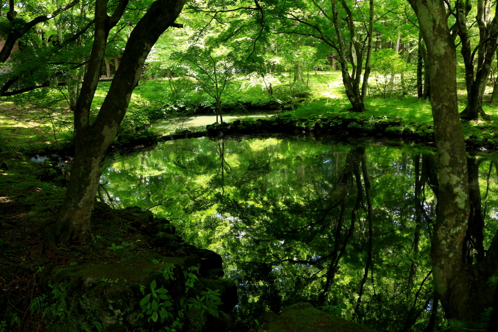 雲場池入口の池