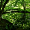 雲場池入口の池