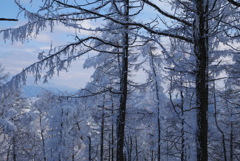 雪景色