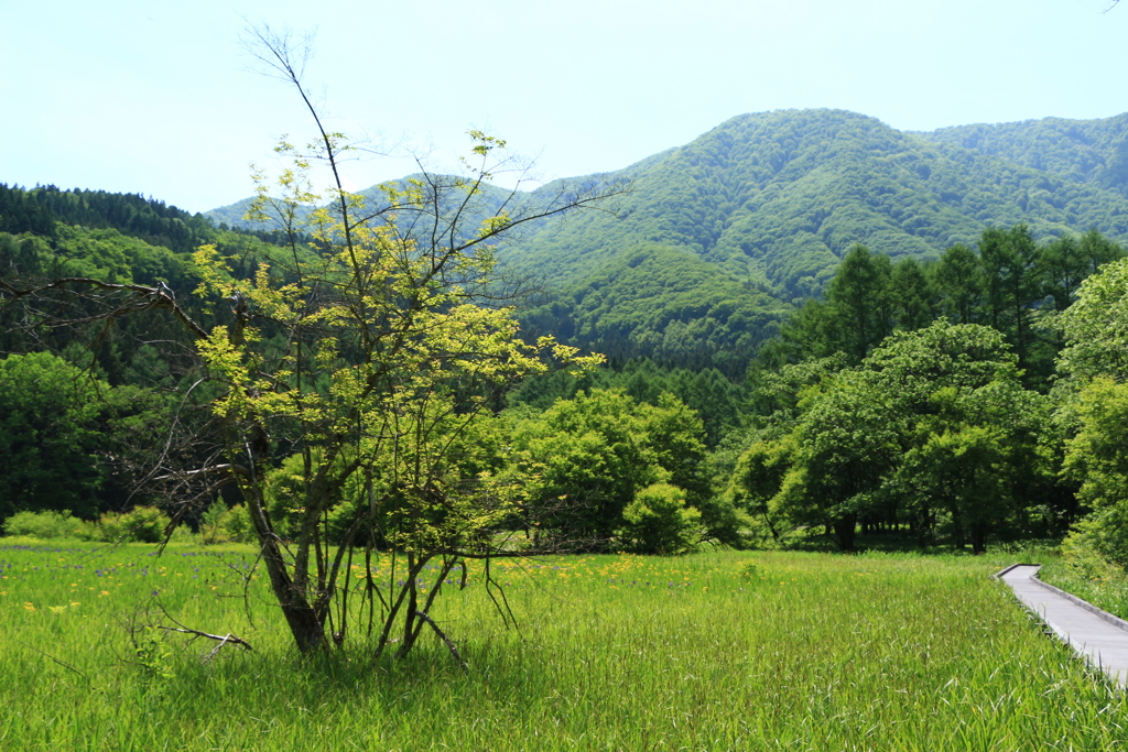 西側の景色