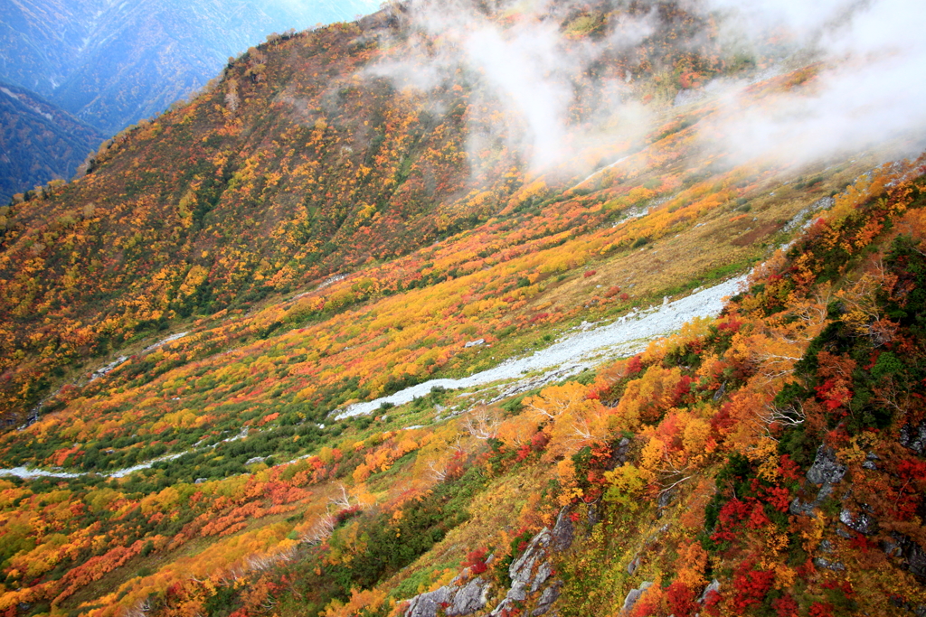 大観峰の紅葉