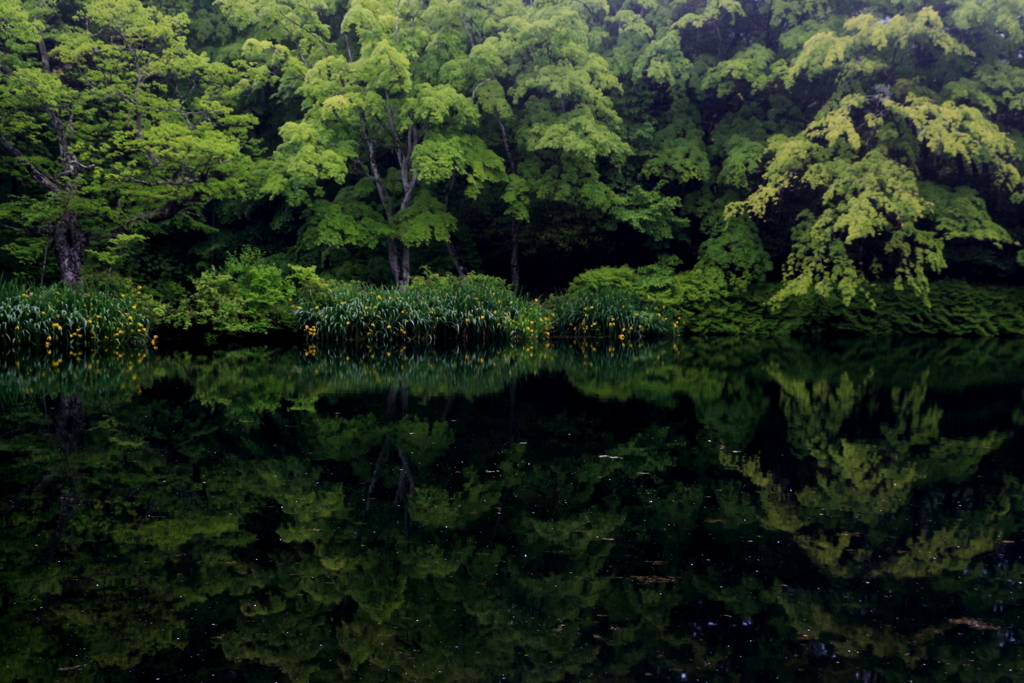 雲場池