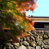 上田城跡公園