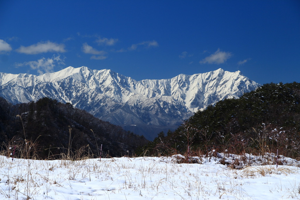 風景