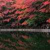 雲場池
