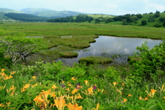 八島ヶ原湿原