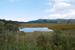 八島が原湿原